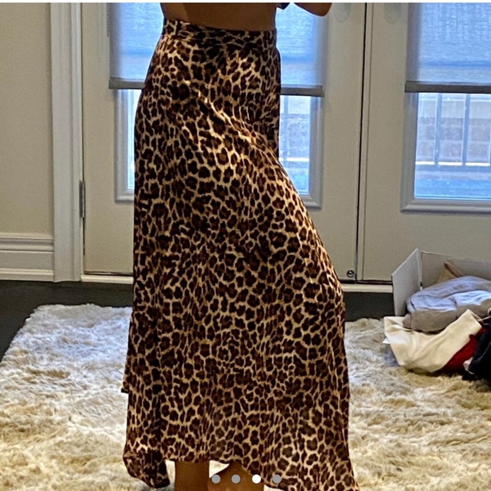 Zara Maxi Skirt